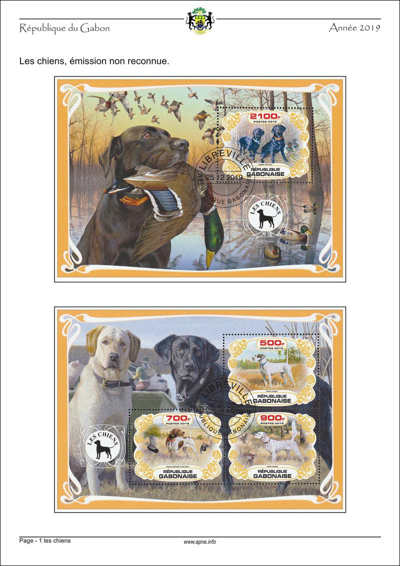 gabon-2019-01_les_chiens.jpg