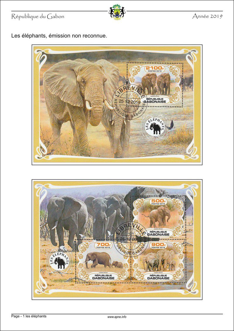 gabon-2019-01_les_elephants.jpg