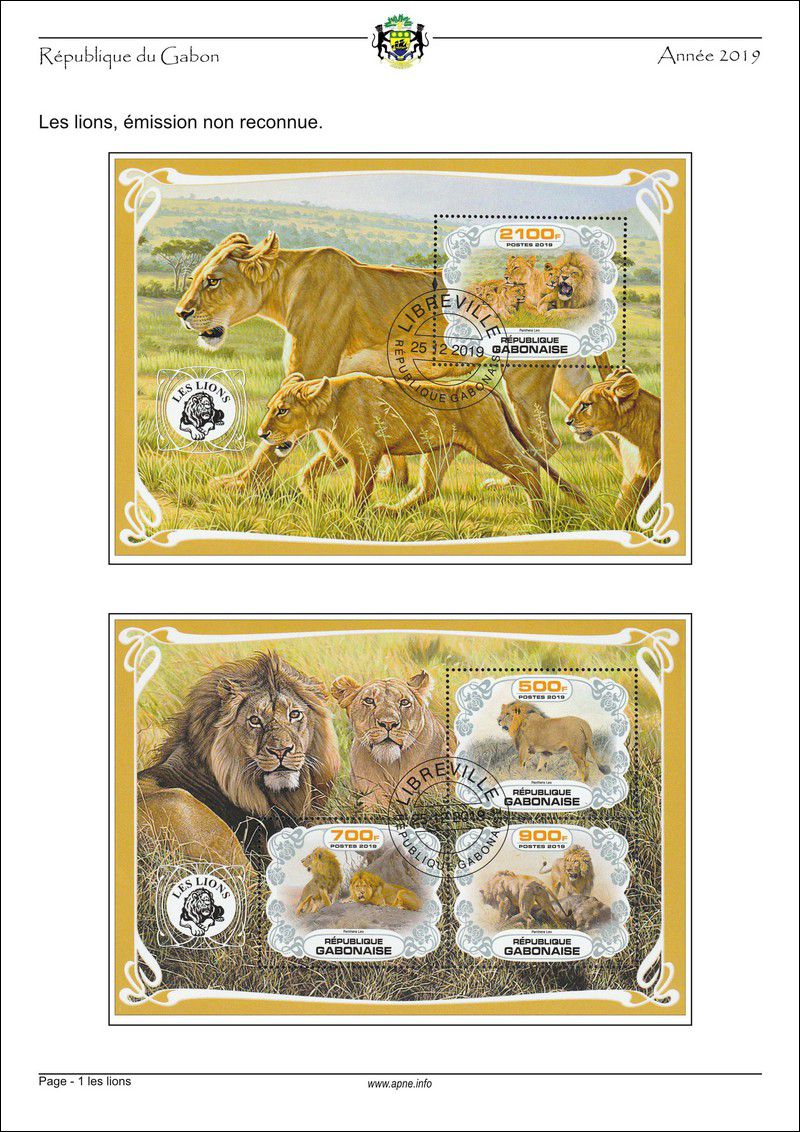 gabon-2019-01_les_lions.jpg
