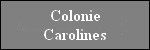 colonie_carolines.jpg