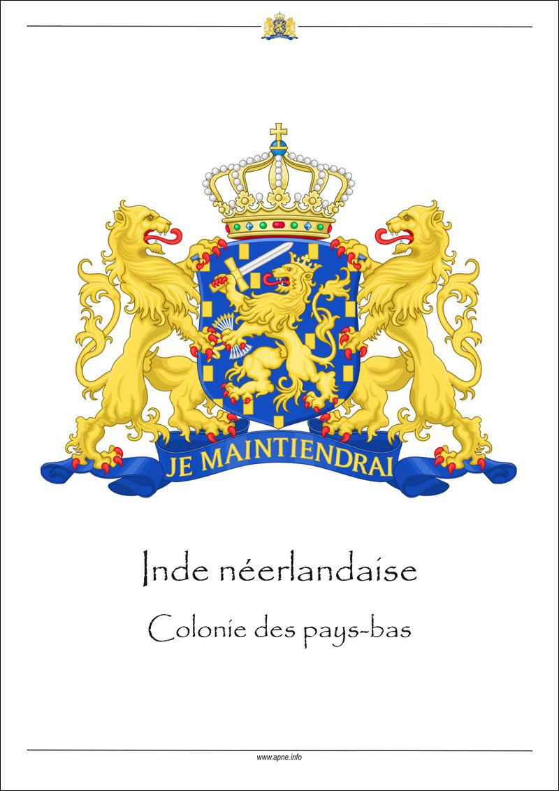 ned-indie-page_de_garde.jpg