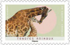 CARNET-2023-01_003.jpg
