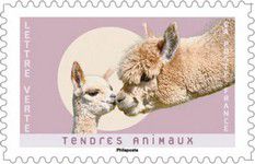 CARNET-2023-01_007.jpg