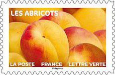 CARNET-2023-01_007.jpg