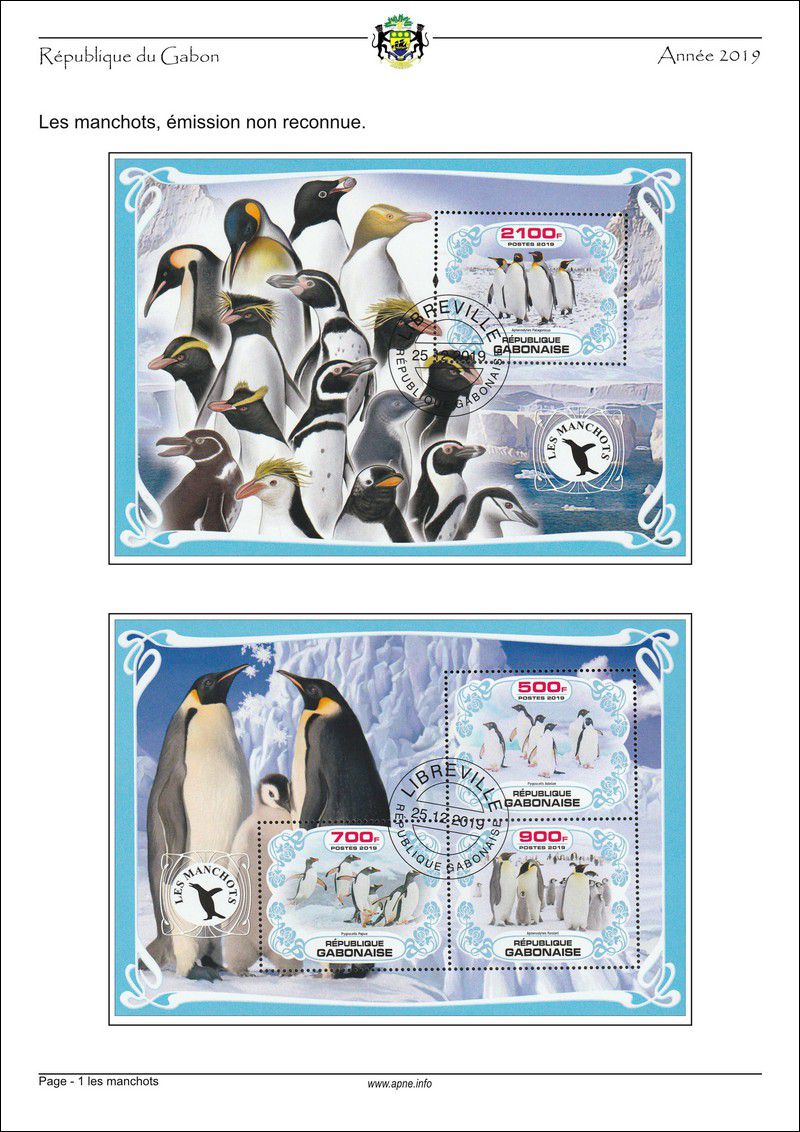 gabon-2019-01_les_manchots.jpg