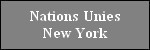 nations-unies_new-york.jpg