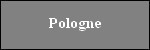 pologne.jpg